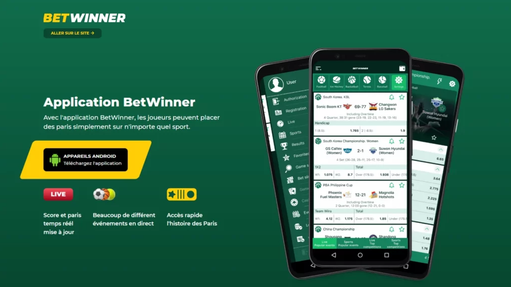 Betwinner Betting Platform Une Expérience de Pari de Premier Plan